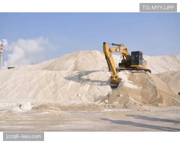 赫塔防线漏洞引热议，专家研判状态波动或影响后续赛事走势